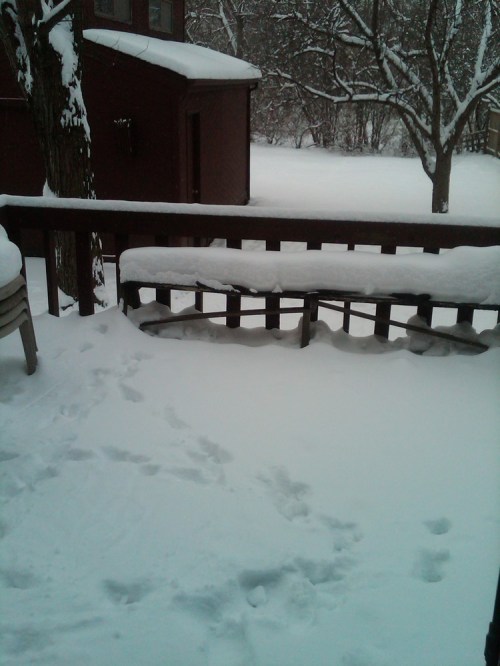 Img00022-20100107-1502