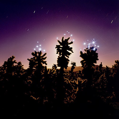 Media_httpwwwlightmar_dtckh