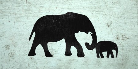 1cIkvSOVhmfOZqxSiXU9Frw